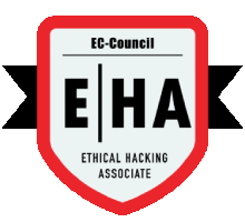 Ethical Hacking Training in Al Abdali